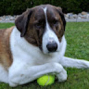 Meet your Posher, Dajana